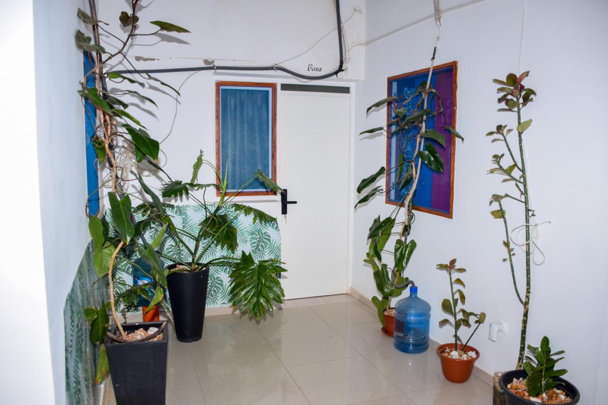 Boutique Hotel Principal ,Tarrafal تارافال المظهر الخارجي الصورة